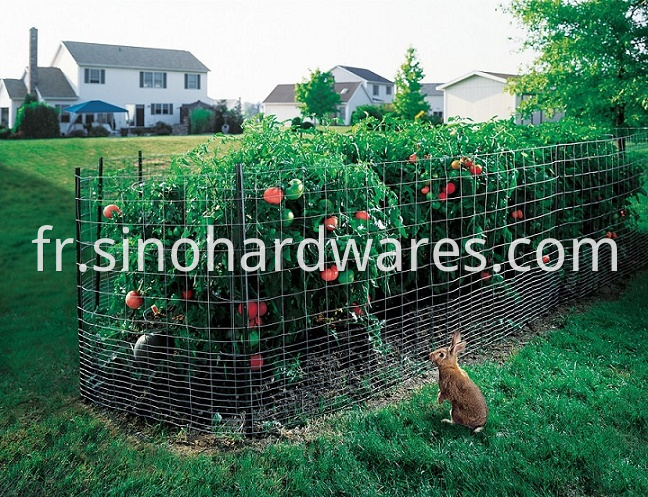 welded wire mesh pet fence